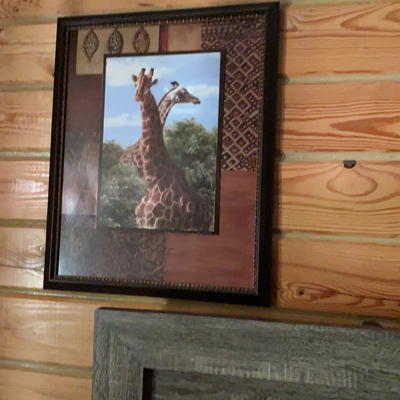 Safari